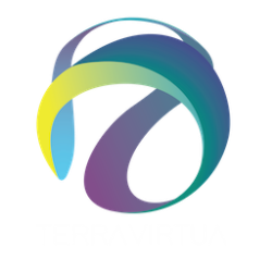 TerraVirtua ICO